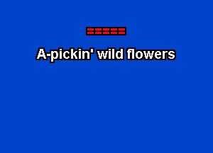 A-pickin' wild flowers