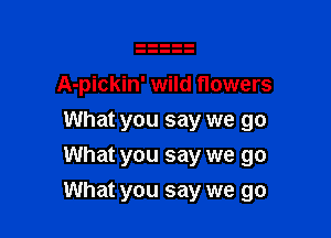 A-pickin' wild flowers
What you say we go
What you say we go

What you say we go