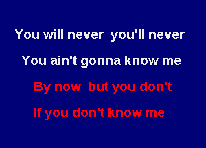 You will never you'll never

You ain't gonna know me

By now but you don't

If you don't know me