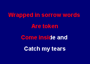 Wrapped in sorrow words
Are token

Come inside and

Catch my tears