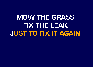 MOW THE GRASS
FIX THE LEAK
JUST TO FIX IT AGAIN