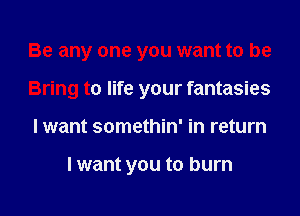Be any one you want to be
Bring to life your fantasies
I want somethin' in return

I want you to burn
