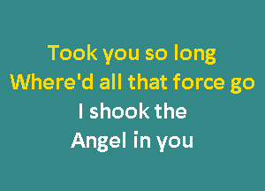 Tookyousolong
Where'd all that force go

lshookthe
Angel in you