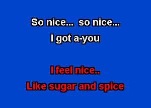 So nice... so nice...
I got a-you

I feel nice..

Like sugar and spice