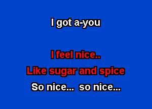 I got a-you

I feel nice..

Like sugar and spice

So nice... so nice...