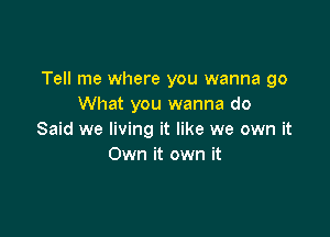 Tell me where you wanna go
What you wanna do

Said we living it like we own it
Own it own it