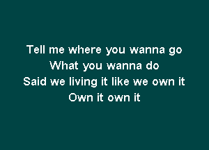 Tell me where you wanna go
What you wanna do

Said we living it like we own it
Own it own it