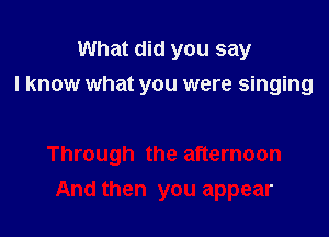 What did you say
I know what you were singing

Through the afternoon
And then you appear