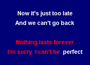 Now it's just too late
And we can't go back

Nothing lasts forever
I'm sorry Ican't be perfect