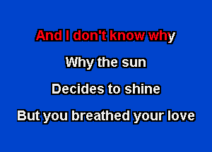 And I don't know why
Why the sun

Decides to shine

But you breathed your love