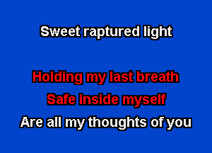 Sweet raptured light

Holding my last breath
Safe inside myself
Are all my thoughts of you