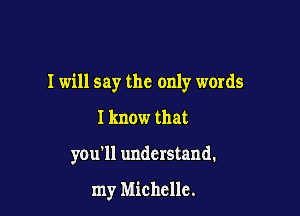 I will say the only words

I know that

you'll understand.

my Michelle.