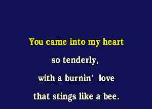 You came into my heart
so tenderly.

with a burnin' love

that stings like a bee.