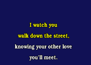 I watch you

walk down the street.

knowing your other love

you'll meet.