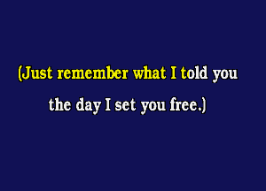 (Just remember what I told you

the day I set you free.)