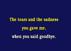 The tears and the sadness

you gave me.

when you said goodbye.