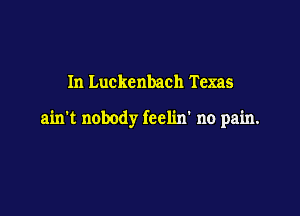 In Luckcnbach Texas

ain't nobody feelin' no pain.