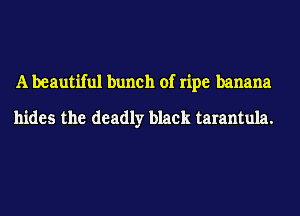 A beautiful bunch of ripe banana
hides the deadly black tarantula.