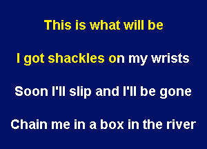 This is what will be
I got shackles on my wrists
Soon I'll slip and I'll be gone

Chain me in a box in the river
