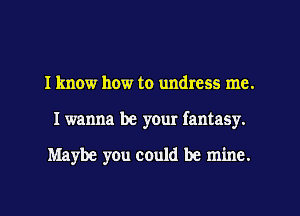 I know how to undress me.
I wanna be your fantaSy.

Maybe you could be mine.