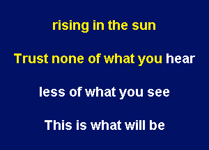rising in the sun

Trust none of what you hear

less of what you see

This is what will be