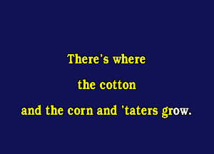 There's where

the cotton

and the corn and 'taters grow.