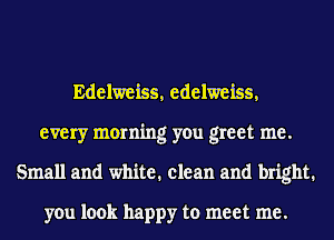 Edelweiss, edelweiss,
every morning you greet me.
Small and white. clean and bright.

you look happy to meet me.