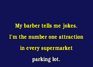 My barber tells me jokes.
I'm the number one attraction
in every supermarket

parking lot.