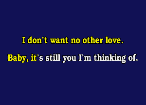 I don't want no other love.

Baby. it's still you I'm thinking of.