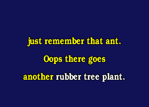 just remember that am.

Oops there goes

another rubber tree plant.