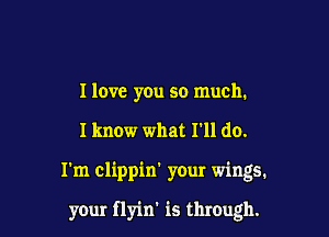 I love you so much.

I know what I'll do.

I'm clippin' your wings.

your flyin' is through.