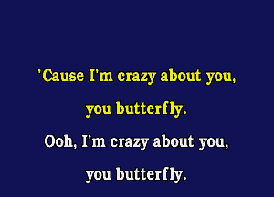 'Cause Fm Crazy about you.
you butterf 1y.

Ooh. I'm crazy about you.

you butterfly.