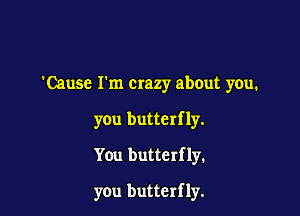 'Cause Fm Crazy about you.
you butterf 1y.
You butterf 1y.

you butterfly.