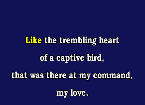 Like the trembling heart
of a captive bird.
that was there at my command.

my love.