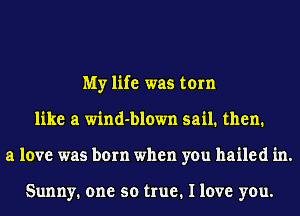 My life was torn
like a wind-blown sail. then.
a love was born when you hailed in.

Sunny. one so true. I love you.