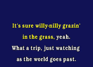 It's sure willy-nilly grazin'
in the grass. yeah.
What a trip. just watching

as the world goes past.