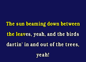 The sun beaming down between
the leaves. yeah. and the birds
darhn'hlandoutofthetrees

yeah!