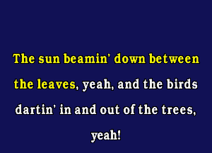 Thesunbeanun'downlmtween
theleaves.yeah.andthel rds
dar n'h1andoutofthetrees

yeah!