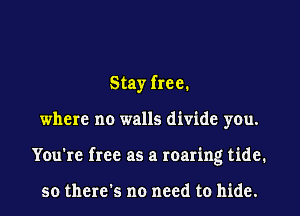 Stay free.
where no walls divide you.
You're free as a roaring tide.

so there's no need to hide.