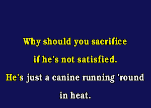 Why should you sacrifice
if he's not satisfied.
He's just a canine running 'round

in heat.