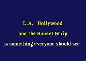 L.A.. Hollywood

and the Sunset Strip

is something everyone should see.
