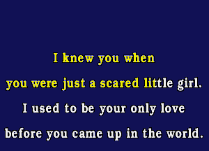 I knew you when
you were just a scared little girl.
I used to be your only love

before you came up in the world.