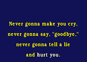 Never gonna make you cry,

never gonna say, goodbye,

never gonna tell a lie

and hurt you.