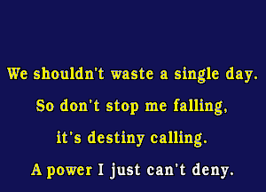 We shouldn't waste a single day.
So don't stop me falling,
it's destiny calling.

A power I just can't deny.