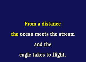 mom a distance
the ocean meets the stream

and the

eagle takes to flight.
