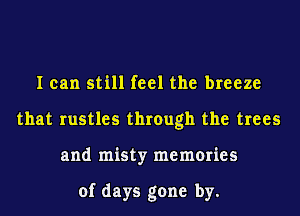 I can still feel the breeze
that rustles through the trees
and misty memories

of days gone by.