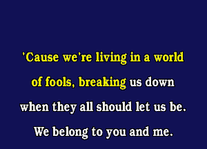 'Cause we're living in a world
of fools. breaking us down
when they all should let us be.

We belong to you and me.