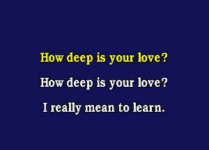 How deep is your love?

How deep is your love?

I really mean to learn.