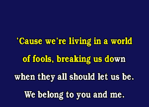 'Cause we're living in a world
of fools. breaking us down
when they all should let us be.

We belong to you and me.