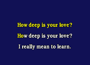 How deep is your love?

How deep is your love?

I really mean to learn.